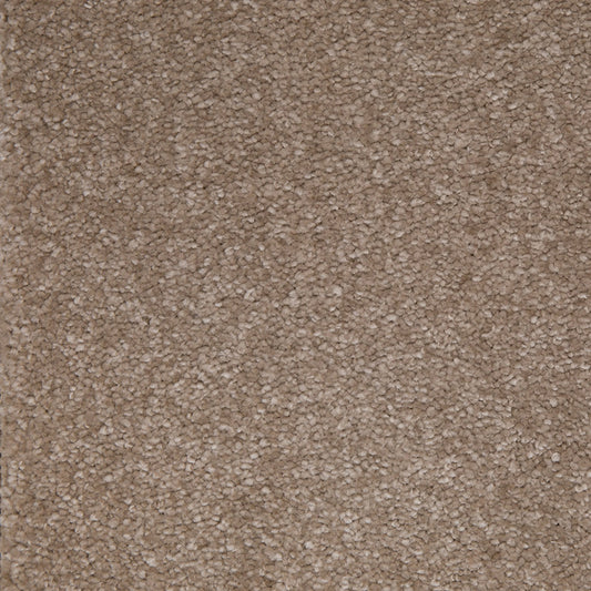 Homestead – Festival